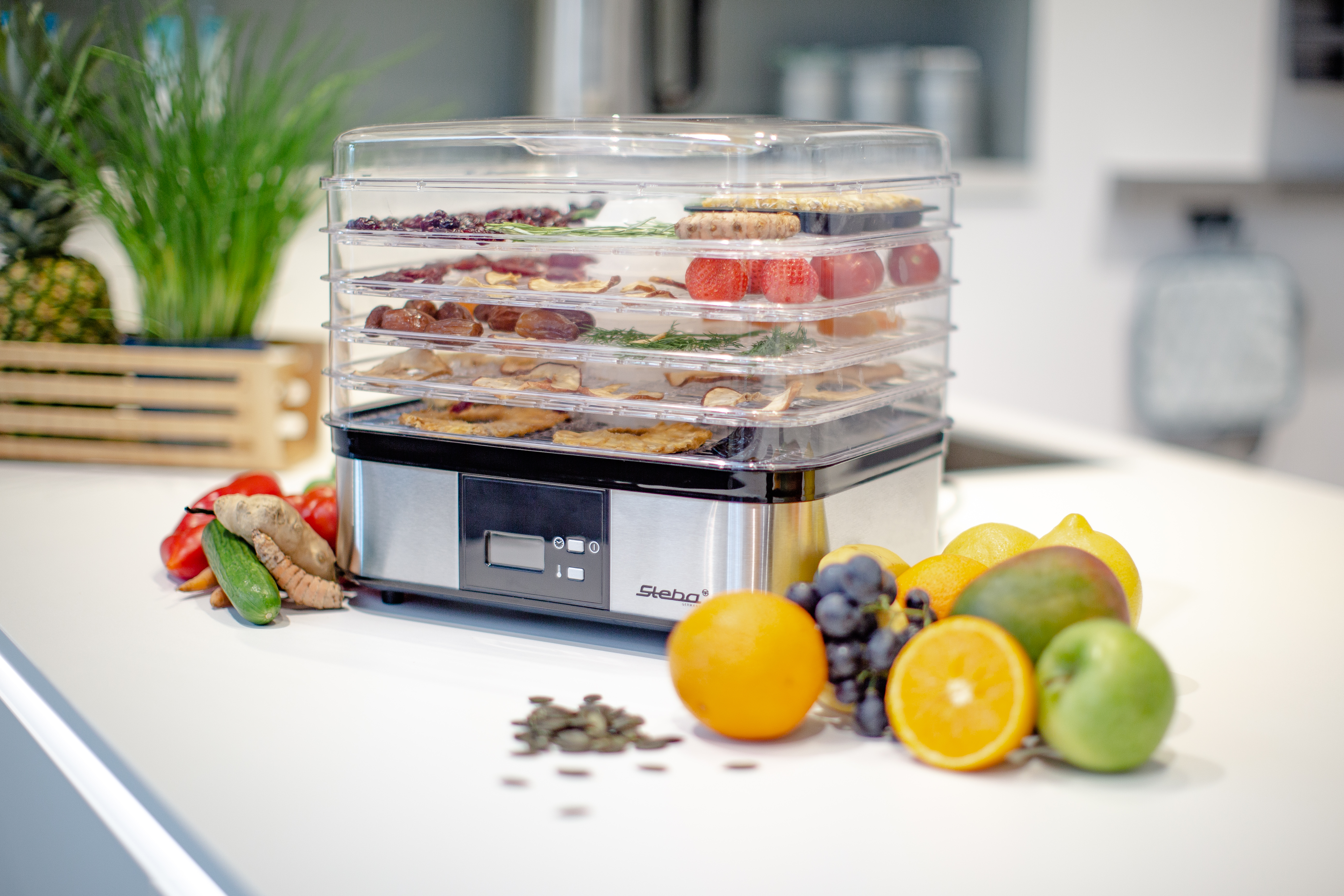 Steba ED 5 Elektrischer Dörrautomat – Schonend Trocknen von Obst, Gemüse, Kräutern & Fleisch 6