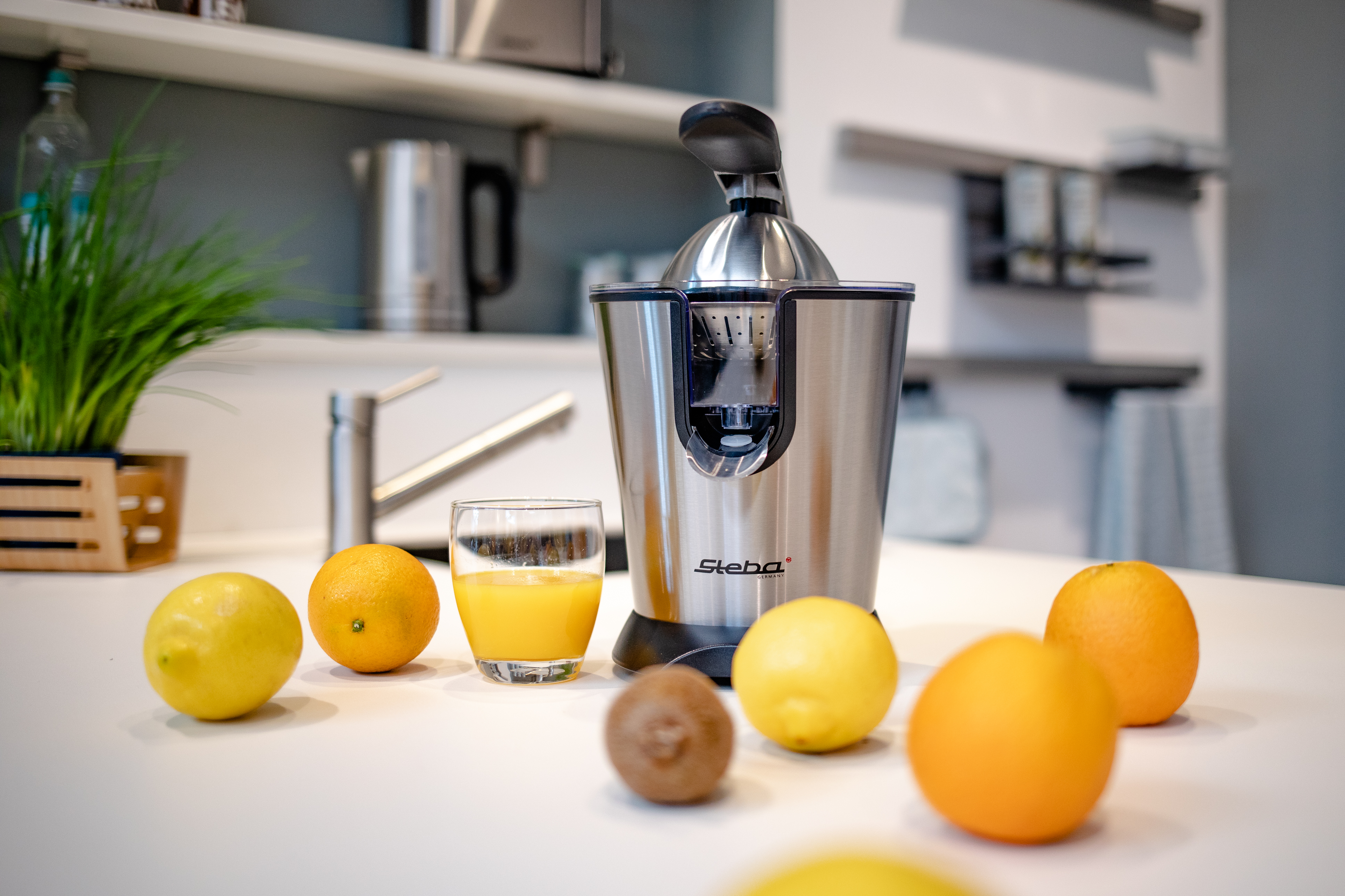 Steba ZP 2 Zitruspresse – Elektrische Fruchtpresse für frischen Orangen- & Zitronensaft 3