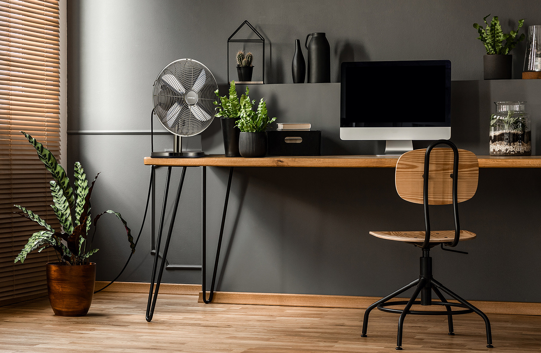 Steba VT T6 Tischventilator – Leiser & Effizienter Standventilator für Zuhause und Büro 3